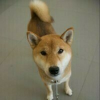 StackShare profile picture for @eman