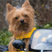 StackShare profile picture for @lyle