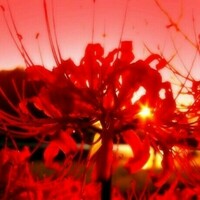 StackShare profile picture for @coney