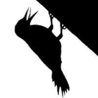 StackShare profile picture for @Entities