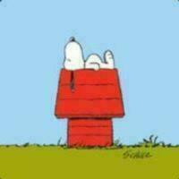StackShare profile picture for @i