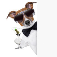 StackShare profile picture for @timothy