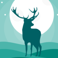 StackShare profile picture for @rizky