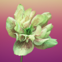 StackShare profile picture for @JohnS