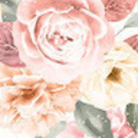 StackShare profile picture for @internet
