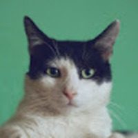 StackShare profile picture for @yaser
